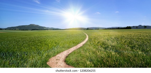 Dirt Road Path Panorama Broad Trail Swinging Sun Summer