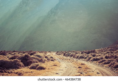 Dirt road rally background - Shutterstock ID 464384738