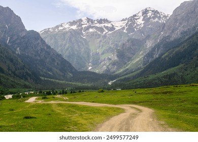 A dirt road runs through a field between mountains and leads into a gorge. Forest and bushes. Snow capped mountains in the background - Powered by Shutterstock