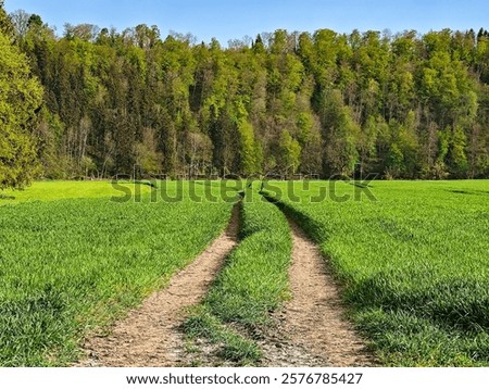 Similar – Image, Stock Photo Narrow road through green mountainsides