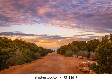 Dirt road in rural Australian outback. Natural landscape in remote Australia