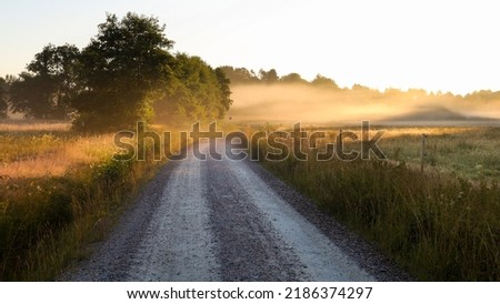 Dirt road in rural landscape with fields both sides. Early morning with mist and fog. Glow from rising sun.