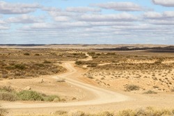 Dirt Road Scene On A Farm In The Kalahari 