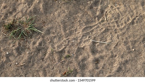 Dirt Road Texture Background Image