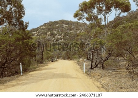 dirt road through australian bushland in you yangs national park