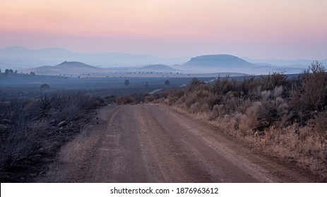 Dirt Road Through Burn Scar Of Wild Fire