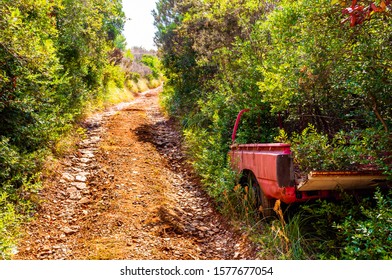 Dirt road through the bushes with old abandoned inside the bush red tender car body carcass on the mountains of Campania region in Italy