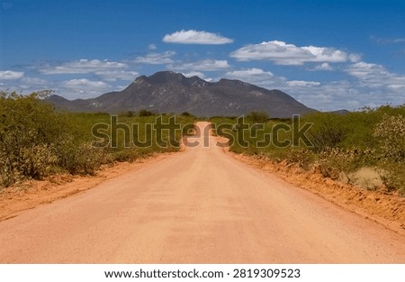 Dirt Road Through the Caatinga Landscape in Quixaba, Paraíba, Brazil on July 15, 2005