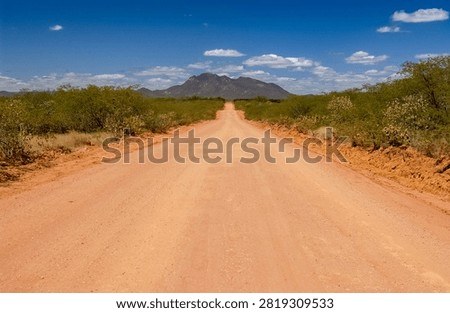 Dirt Road Through the Caatinga Landscape in Quixaba, Paraíba, Brazil on July 15, 2005