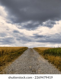 Dirt road through a cornfield towards the horizon to an ominous sky.