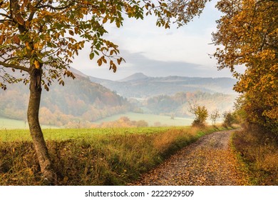 Dirt road through the countryside in an autumn foggy morning. Northwest of Slovakia, Europe. - Powered by Shutterstock