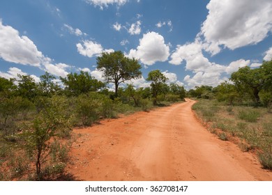 Dirt Road Through The Dry Landscape Of Hoedspruit