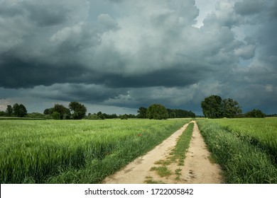 A dirt road through fields with green grain and dark rainy clouds in the sky - Powered by Shutterstock