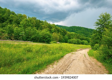 dirt road through forested countryside. beautiful summer rural landscape in mountains. adventure in nature scenery before the storm