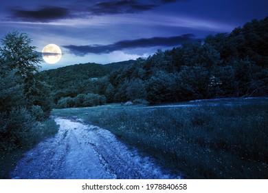 Dirt Road Through Forested Countryside At Night. Beautiful Summer Rural Landscape In Mountains. Adventure In Nature Scenery In Full Moon Light