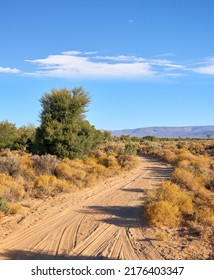 Dirt Road Through Highland Savanna. Off Road Dirt Track Path In Highland Safari, On Dry Rough Terrain In Summertime. A Empty African Landscape Of Barren Highland With Dry Green Bushes With Copy Space