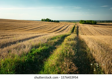 Dirt road through hilly fields, horizon and sky, summer view