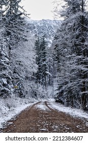 Dirt Road Through The Trees In A Forest In The Bavarian Alps On A Cold, Snowy Winter Day In Germany.