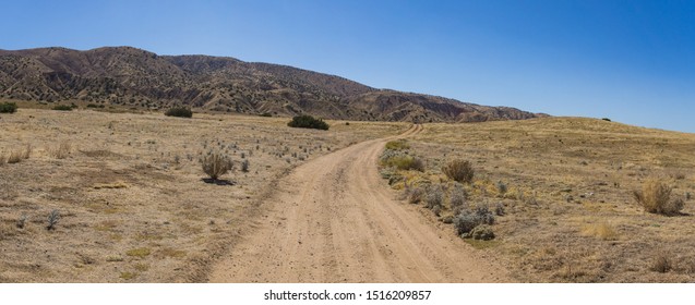 Dirt road track leads into the dry hills of southern California's Carrizo Plain National Monument.