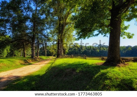 A dirt road travels the length of a field border by a split rail fence along the Natchez Trace parkway in Mississippi