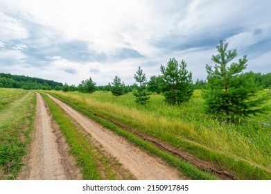 11,227 Dirt Walkway Images, Stock Photos & Vectors 