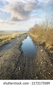 A Dirt Road In The Wet Countryside By Dry Or Arid Grassland In Early Spring In Denmark. Empty Gravel Outdoors After Heavy Rain In The Morning With A Blue Sky Background. View Of The Countryside Swamp