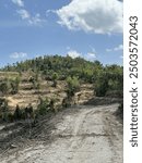 A dirt road winds through a deforested landscape, leading towards a lush, forested hill in the distance.