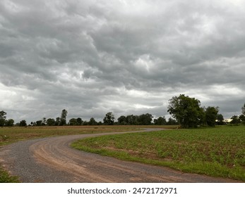 A dirt road winds through a field under a cloudy sky. The road is narrow and bumpy, and it is lined with tall grass and wildflowers. The sky is gray and overcast. - Powered by Shutterstock