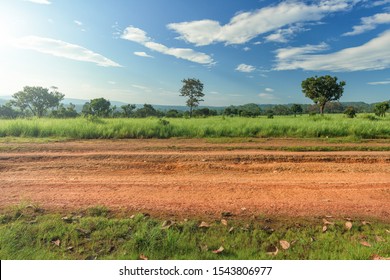Dirt roadside view with the meadow - Powered by Shutterstock