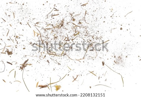 Dirt, soil dust, dry grass isolated on white background, top view