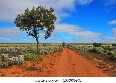 Australian savanna Images, Stock Photos & | Shutterstock