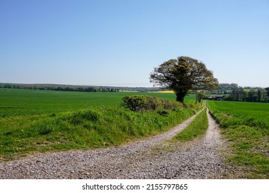 Dirt track between two farm fields. Sunny day over agricultural farmland. Scenic countryside view 