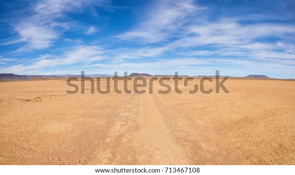 A dirt track leads through Northern Cape desert\
landscape, Southern Africa
