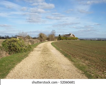 Dirt Track through Agricultural Land