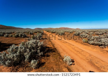 Dirt track through Pearl Bluebush Plains under a blue sky in outback Australia