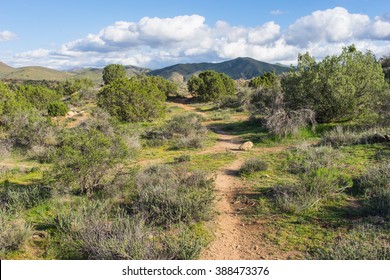 Dirt trail joins Pacific Crest Trail in the Mojave desert wilderness.