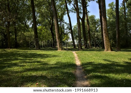 Similar – Image, Stock Photo Path in an oak grove path