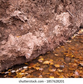 A Dirt Wall And Water Puddle In The Forest At Porcupine Mountains Wilderness State Park In Michigan. Fall Colors