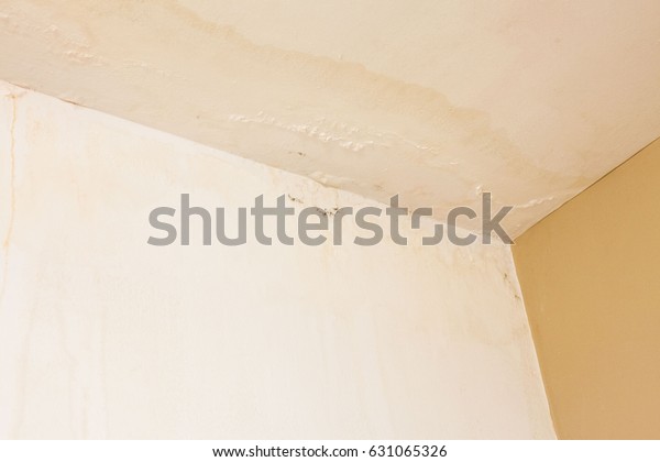 Dirt Watery Ceiling Leaking View Indicating Stock Image