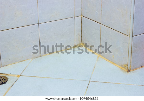 Dirty Bathroom Floor Black Mold Growing Stock Photo Edit Now