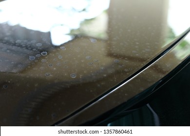 dirty black car with water stained dry