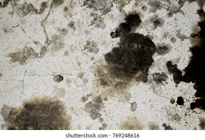 dirty black engine oil stain concrete floor texture background - Shutterstock ID 769248616