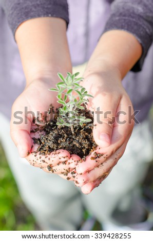 Image, Stock Photo Dirty boy hands holding small young herbal sprout plant