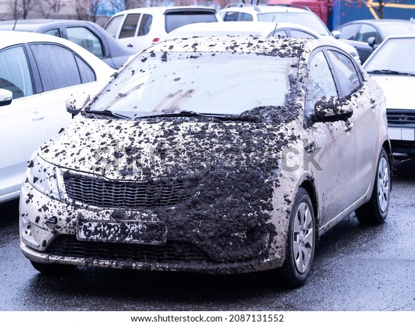 Dirty car. Dirt on the surface of car paint and\
car glass, car care\
concept.