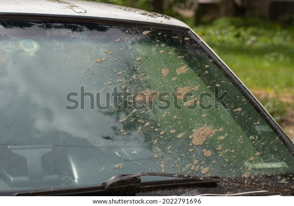 Dirty car glass. Dirt on the windshield. Car\
after the trip. Glass with sticky\
sand.