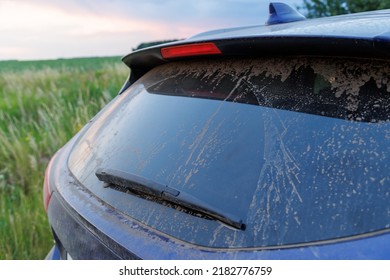 Dirty Car Glass With Wiper And Third Brake Light, Rear Window Covered With A Layer Of Dust And Sand. Blurry Green Grass In The Background.