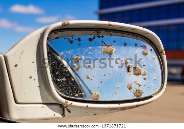 dirty car rear view\
mirror