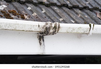 Dirty clogged white plastic pvc gutters and drain pipes with mossy green mould on plastic fascias.  Blocked drains and guttering need window cleaners and regular yard work maintenance for drainage