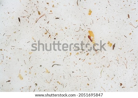 Dirty compacted snow cover on the forest floor under trees in early spring with scattered tree litter accumulated on the ground over the winter. Top view, natural textured off-white background.