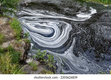 Dirty Contaminated Water In The Lake. Toxic Oily Stain On The Surface Of The Water.